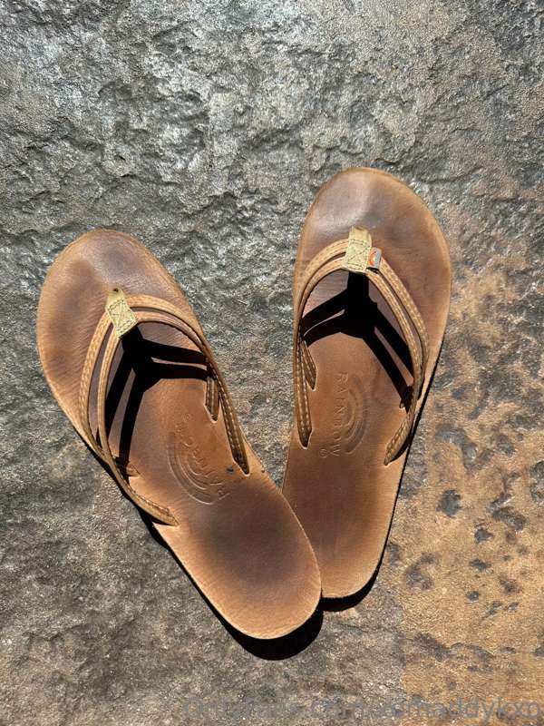 bidding my beloved pair of rainbows. I really tried to get s..