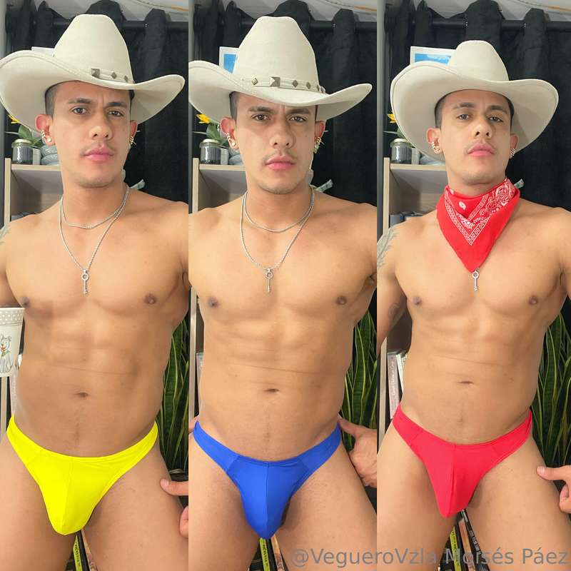 Cual te gusta más?