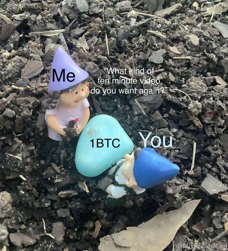 My garden gnomes be like: