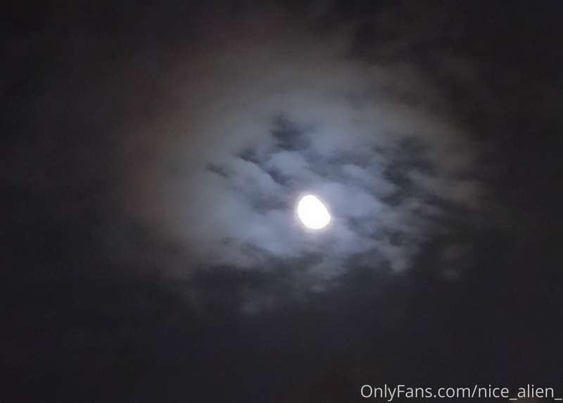 Nice_Alien_ - Onlyfans - 16 Sep, 2020