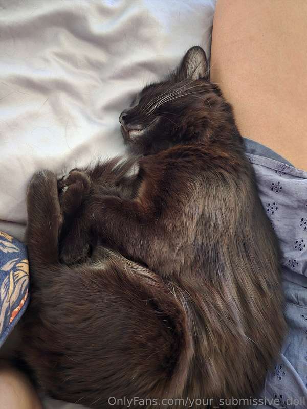 He's so happy, he must know how lucky he is 😄🐈‍⬛️💕
