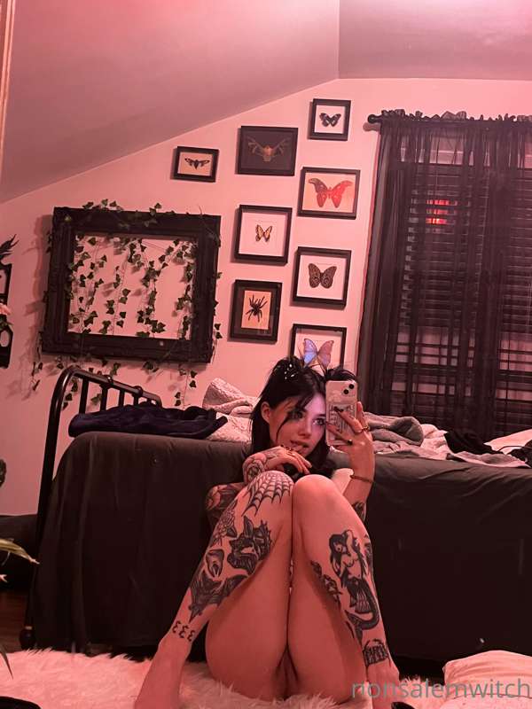 pretty kitty 🖤🖤 1