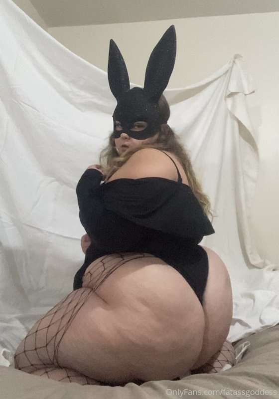 Let’s fuck like rabbits , all day every day 🐇 3