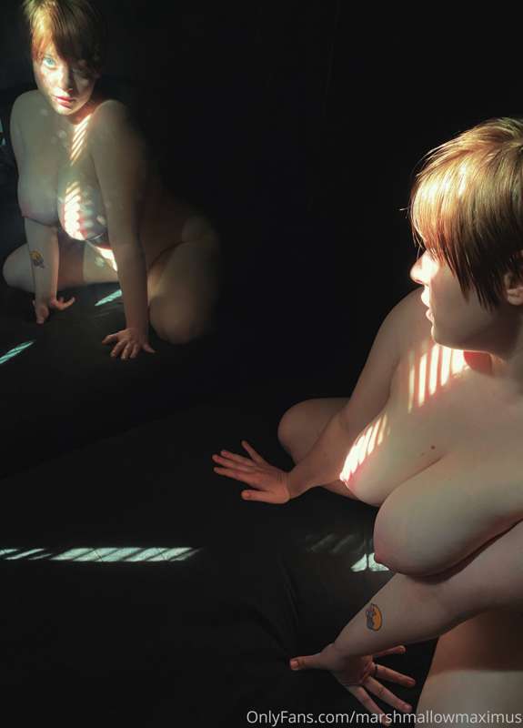 A peek through the blinds 3