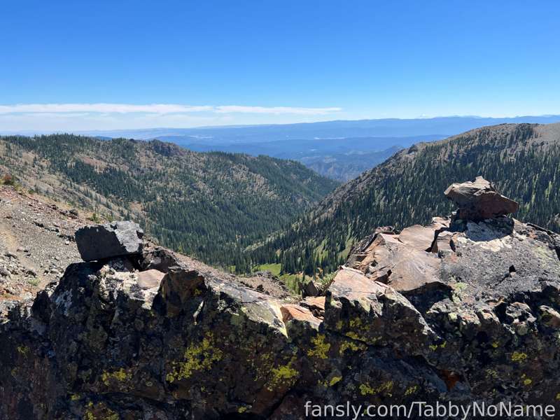 Tabbynoname - Fansly - 05 Aug, 2022 1