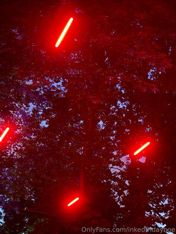 I think I'm in a parallel universe 🔴🌌When the light, trees a..