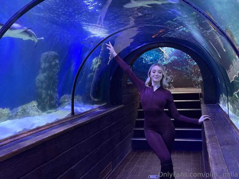 I visited the oceanarium it was incredible! 🌊 I immersed mys..