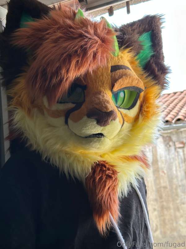 My first pictures with our new suits !  Say Welcome to Fugam.. 1