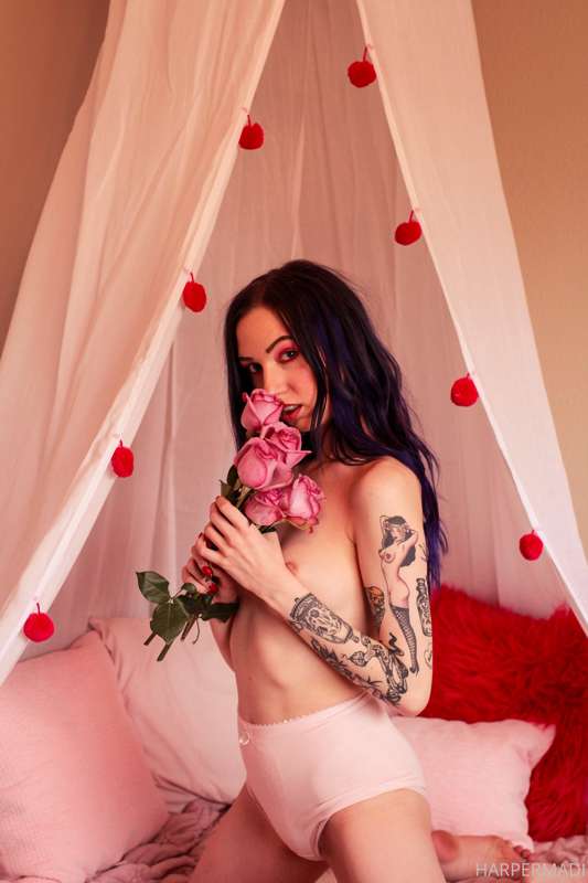 roses and titties 🥀 a cute little set from february! 5