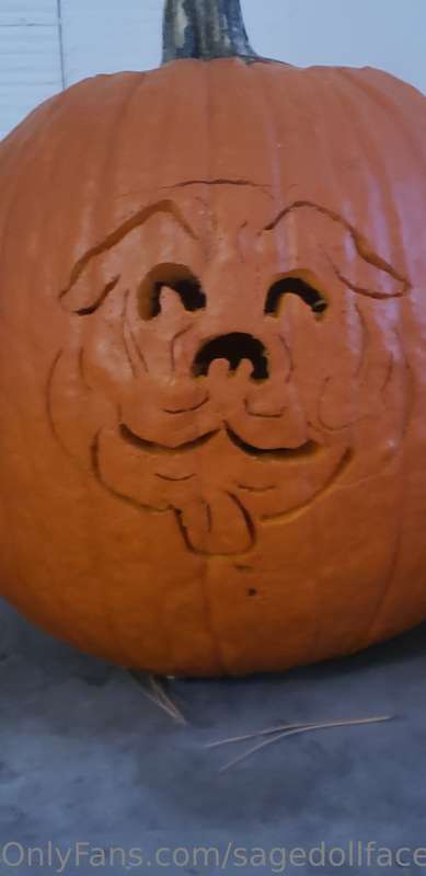 I carved seven pumpkins yesterday. I let the small ones desi..