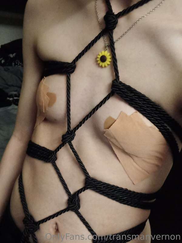My roommates helped me do a Shibari tie