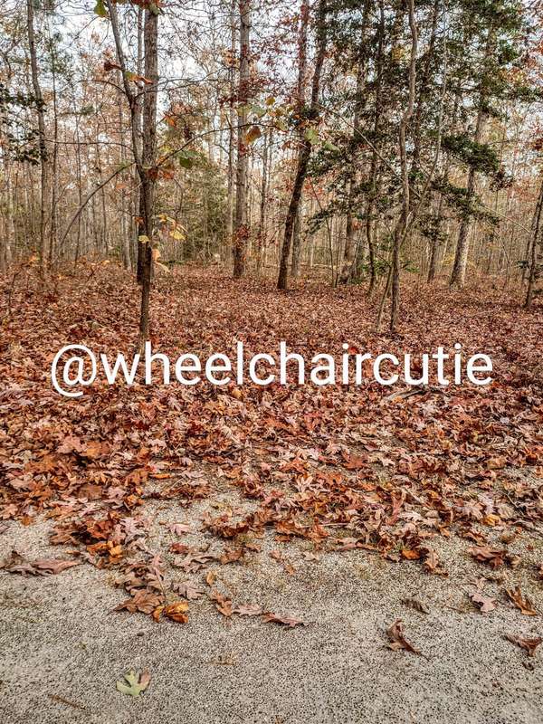 Wheelchaircutie - Fansly - 21 Nov, 2022 6