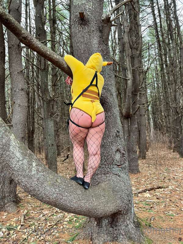 Peggachu!!! In the wild being feral!! 10