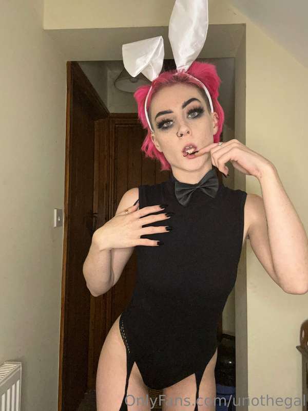🐰🐰🐰