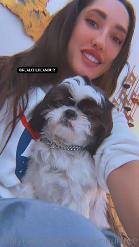 Yesterday was National Pet Day.  🐶🐶🐶
Do you have any pets ? 1