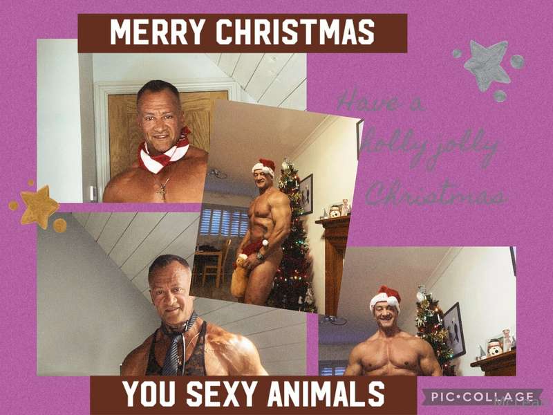 I hope you have enjoyed this year’s content, next year will ..