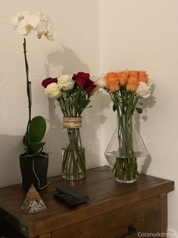 Morning everyone. Woke up to the smell of roses. I put some .. 1