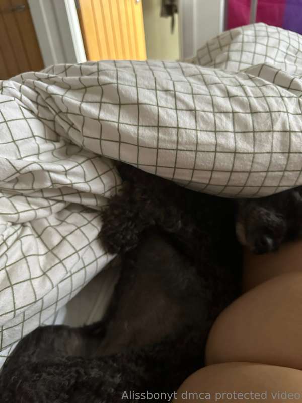 Waking up to a sweet dog in my bed >>>