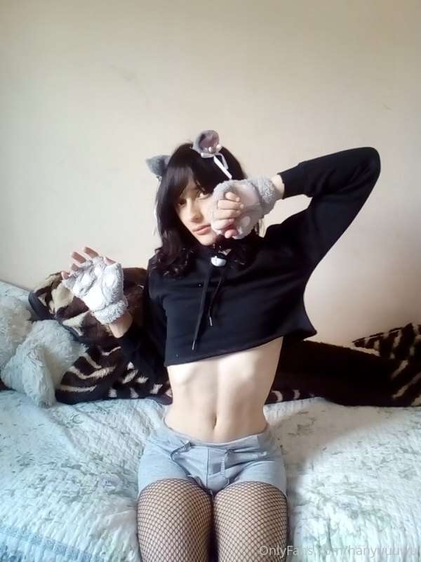 meow meow, im smal >.