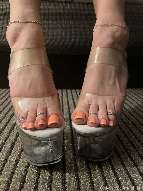 I bought these yesterday hoping you all would absolutely lov.. 5