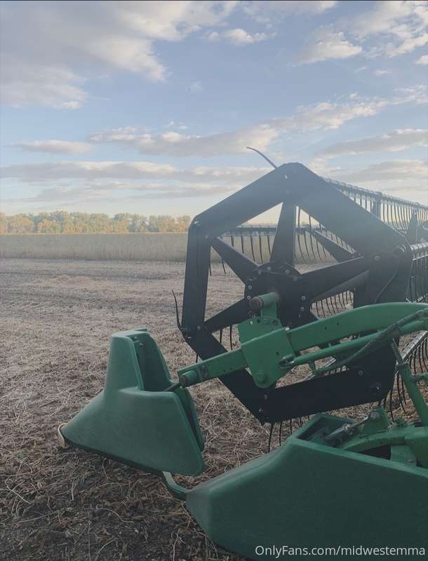 happy harvest season 2