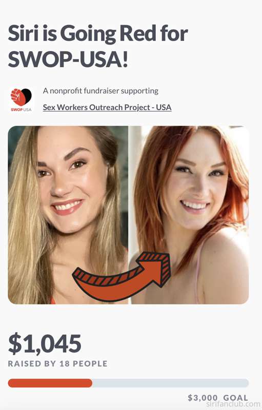 I’m 1/3 of the way to my goal of raising $3k for the Sex Wor..
