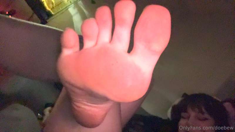Paws :333 1