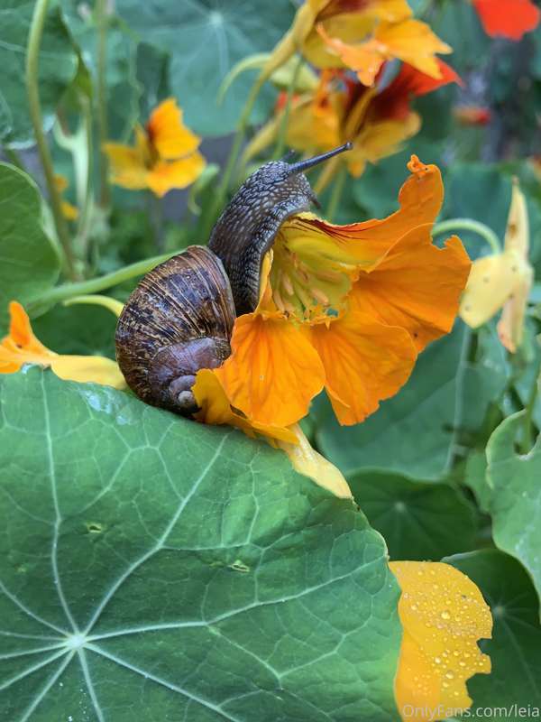 Found a cutie in my flower patch!