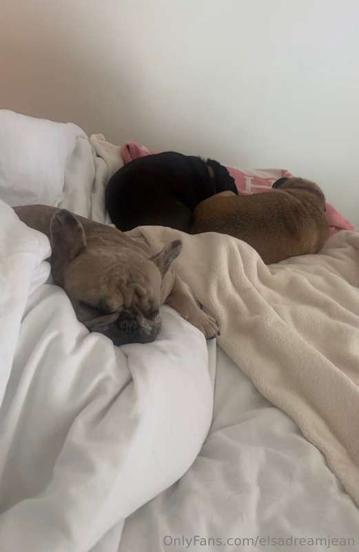 Goodmorning from me and the girls 😂🥹💗Olga especially says he..
