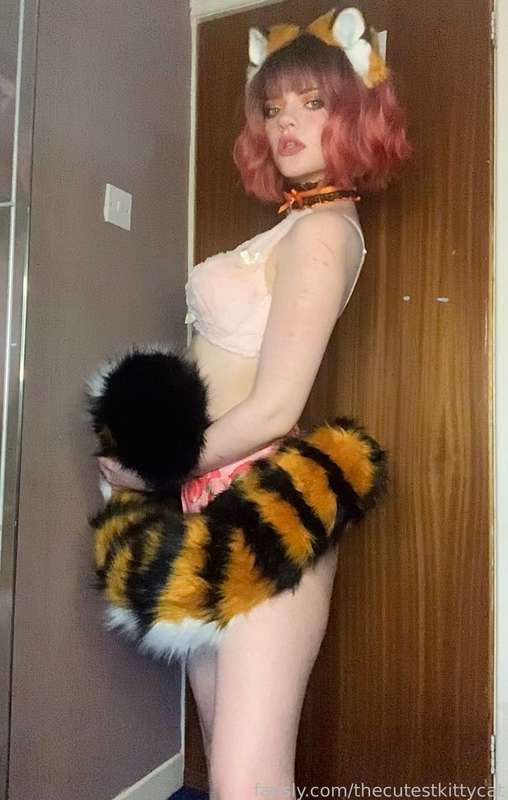 Thecutestkittycat - Fansly - 01 Sep, 2021 18