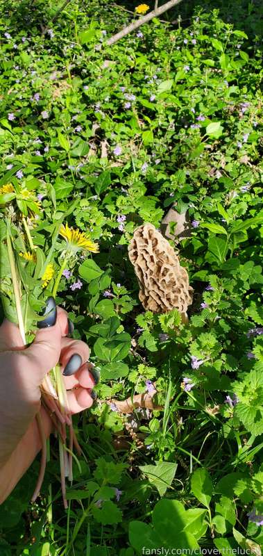 Cloverthelucky - Fansly - 12 May, 2025 12