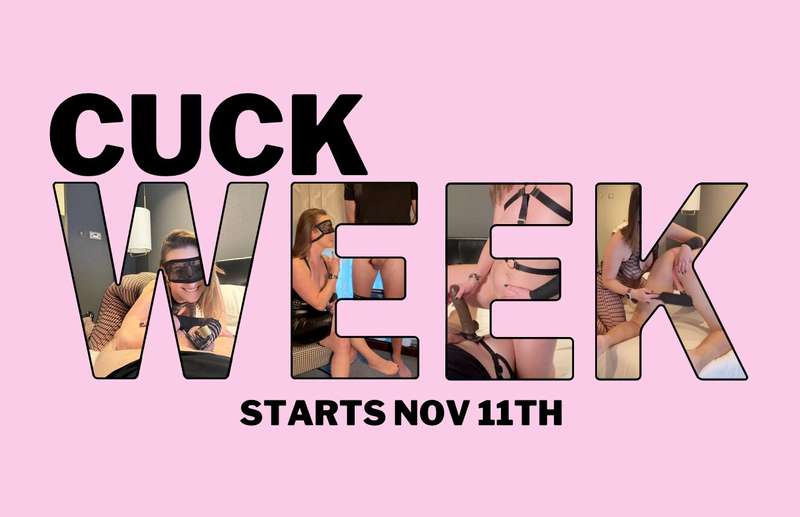 Get it in your diary - cuck week starts 11th Nov!Expect lots..