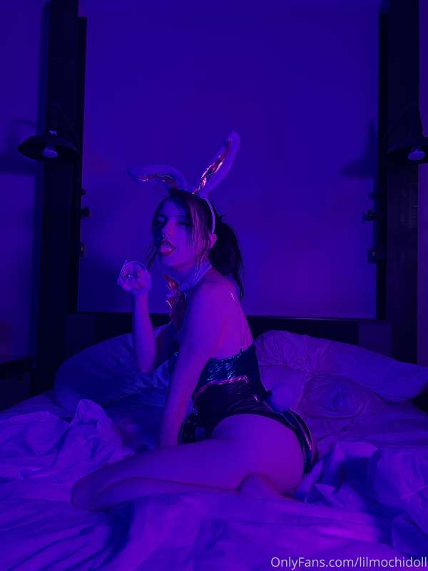 Dva bunny 5