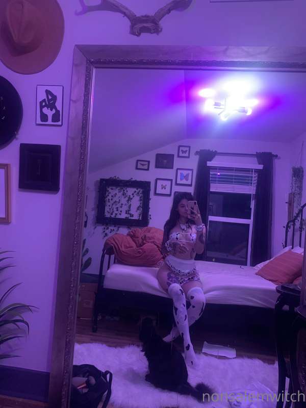 💜🐄💜 1