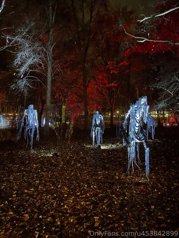 Spent the evening with my family at a Halloween park. Surpri.. 4