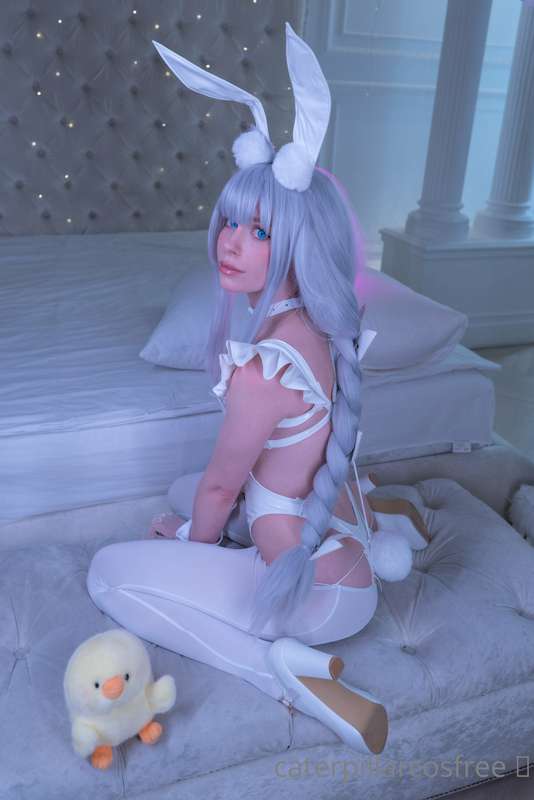 🐰🐰🐰