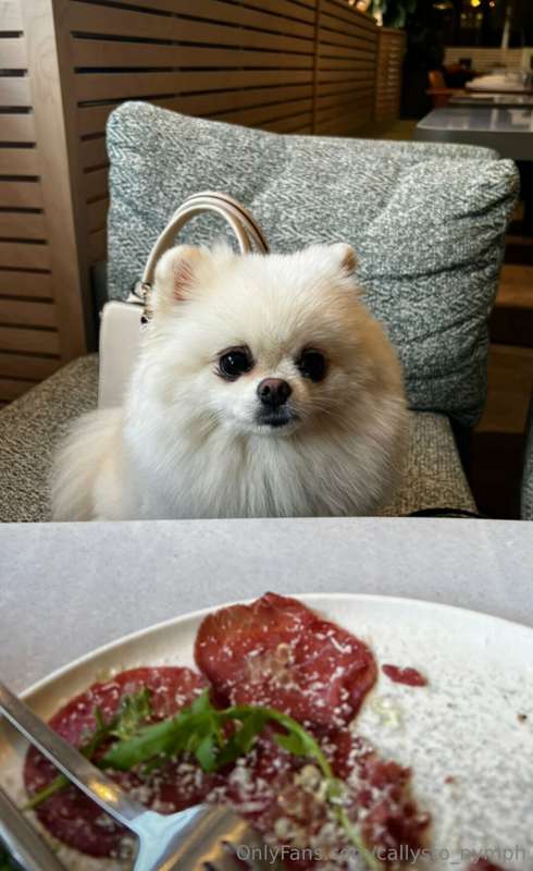 How can you not love this beautiful animal? he gives me so m..