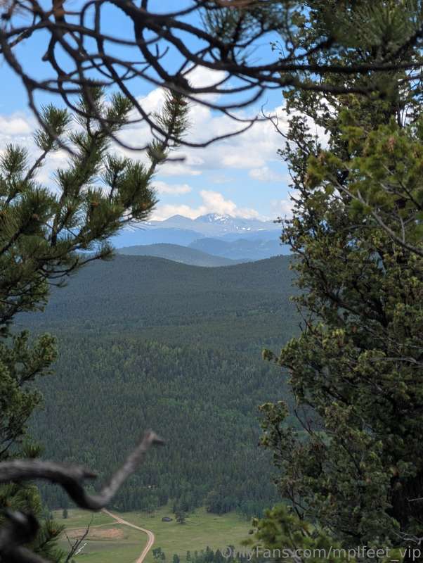 Went hiking the other day it was absolutely gorgeous outside..