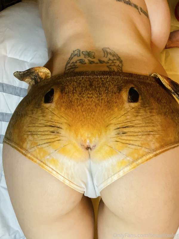 anybody got a nut? because this squirrel needs one. 5