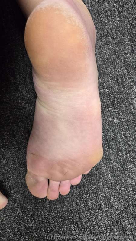 My meaty soles and rough calluses need your nose and tongue ..