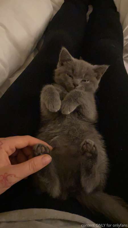 Have you ever seen anything so perfect cos same???? 
Don’t k..