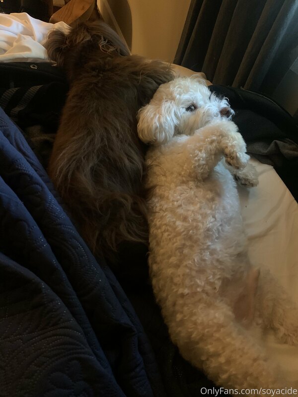 Most of my time in Florida was spent kissing my friends’ dog.. 2