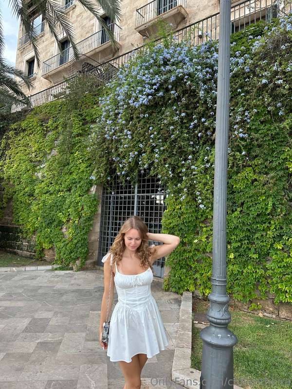 🕊️