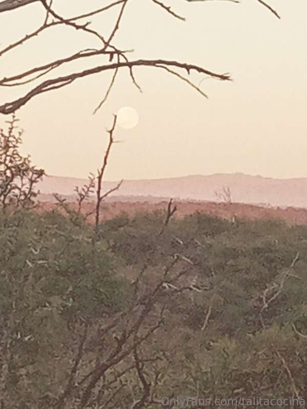 Hoy a reconocemos hierbas serranas en el monte!
El PAICO es .. 1
