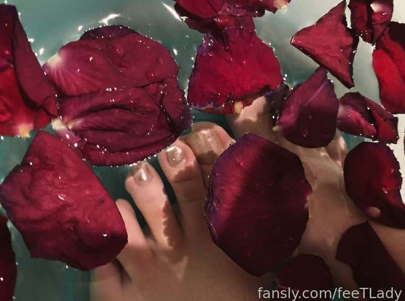 Feetlady - Fansly - 19 Feb, 2023 2