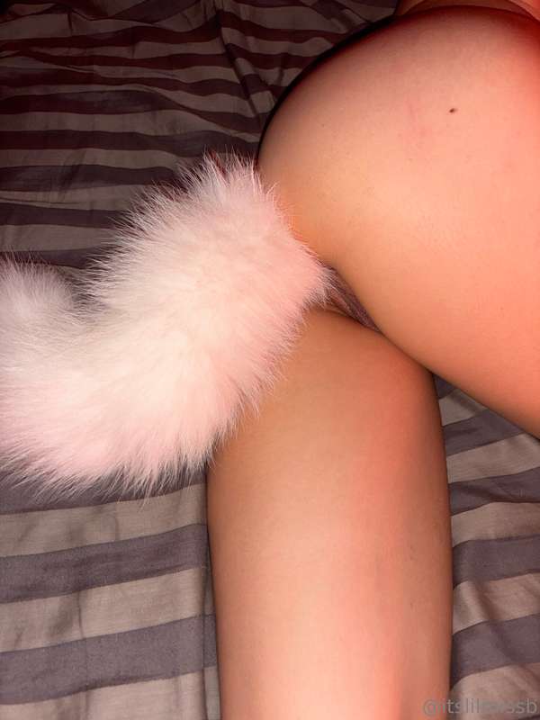 Come get a piece of this tail 😉 1