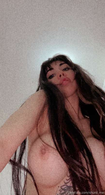Hi 🐻 2
