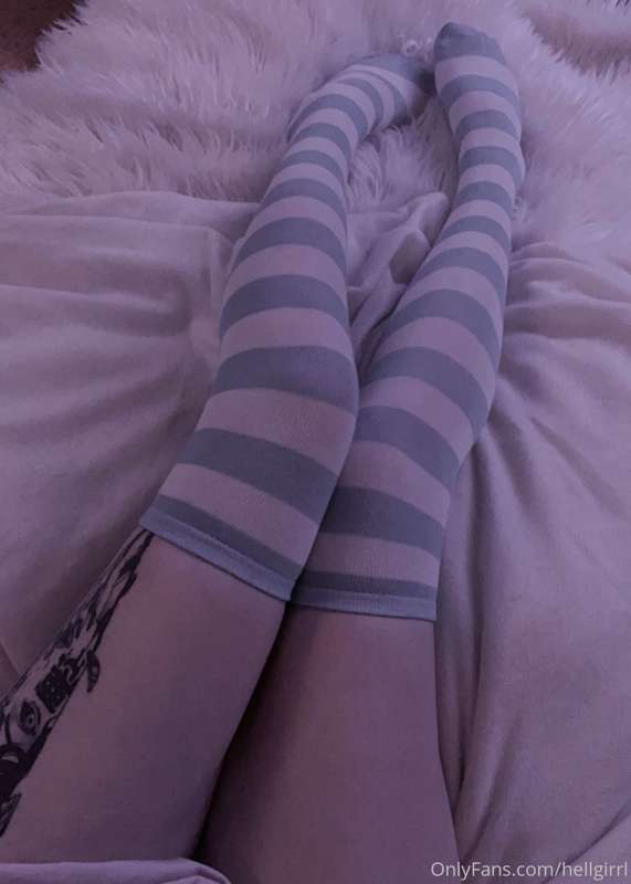 Aren’t these socks the cutest?! 🫐