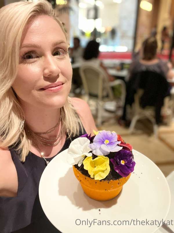 It's a dessert!  A flower pot that is fully edible!  Delicio..