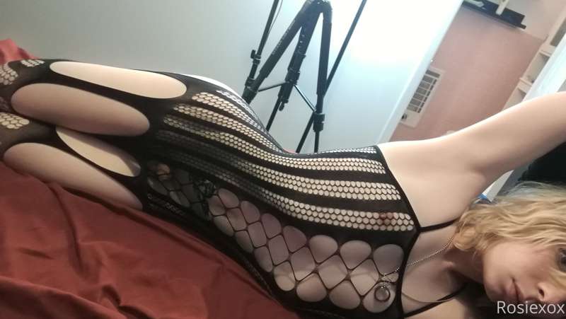 Full Body Fishnet Set 6/8 x 20